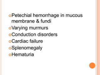 Petechial hemorrhage in mucous
membrane & fundi
Varying murmurs
Conduction disorders
Cardiac failure
Splenomegaly
Hematuria
 