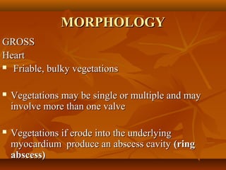 MORPHOLOGYMORPHOLOGY
GROSSGROSS
HeartHeart
 Friable, bulky vegetationsFriable, bulky vegetations
 Vegetations may be single or multiple and mayVegetations may be single or multiple and may
involve more than one valveinvolve more than one valve
 Vegetations if erode into the underlyingVegetations if erode into the underlying
myocardium produce an abscess cavitymyocardium produce an abscess cavity (ring(ring
abscess)abscess)
 