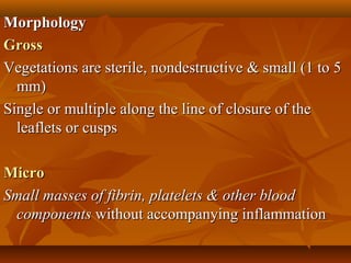 MorphologyMorphology
GrossGross
Vegetations are sterile, nondestructive & small (1 to 5Vegetations are sterile, nondestructive & small (1 to 5
mm)mm)
Single or multiple along the line of closure of theSingle or multiple along the line of closure of the
leaflets or cuspsleaflets or cusps
MicroMicro
Small masses of fibrin, platelets & other bloodSmall masses of fibrin, platelets & other blood
componentscomponents without accompanying inflammationwithout accompanying inflammation
 
