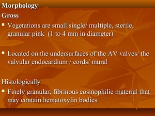 MorphologyMorphology
GrossGross
 Vegetations are small single/ multiple, sterile,Vegetations are small single/ multiple, sterile,
granular pink (1 to 4 mm in diameter)granular pink (1 to 4 mm in diameter)
 Located on the undersurfaces of the AV valves/ theLocated on the undersurfaces of the AV valves/ the
valvular endocardium / cords/ muralvalvular endocardium / cords/ mural
HistologicallyHistologically
 Finely granular, fibrinous eosinophilic material thatFinely granular, fibrinous eosinophilic material that
may contain hematoxylin bodiesmay contain hematoxylin bodies
 