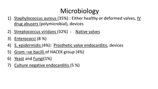 Microbiology
1) Staphylococcus aureus (35%) : Either healthy or deformed valves, IV
drug abusers (polymicrobial), devices
2) Streptococcus viridans (32%) : Native valves
3) Enterococci (8 %)
4) S. epidermidis (4%): Prosthetic valve endocarditis, devices
5) Gram –ve bacilli of HACEK group (4%)
6) Yeast and Fungi(1%)
7) Culture negative endocarditis (5 %)
 