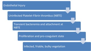 Endothelial Injury
Uninfected Platelet-Fibrin thrombus (NBTE)
Transient bacteremia and attachment at
NBTE
Proliferation and pro-coagulant state
Infected, friable, bulky vegetation
 