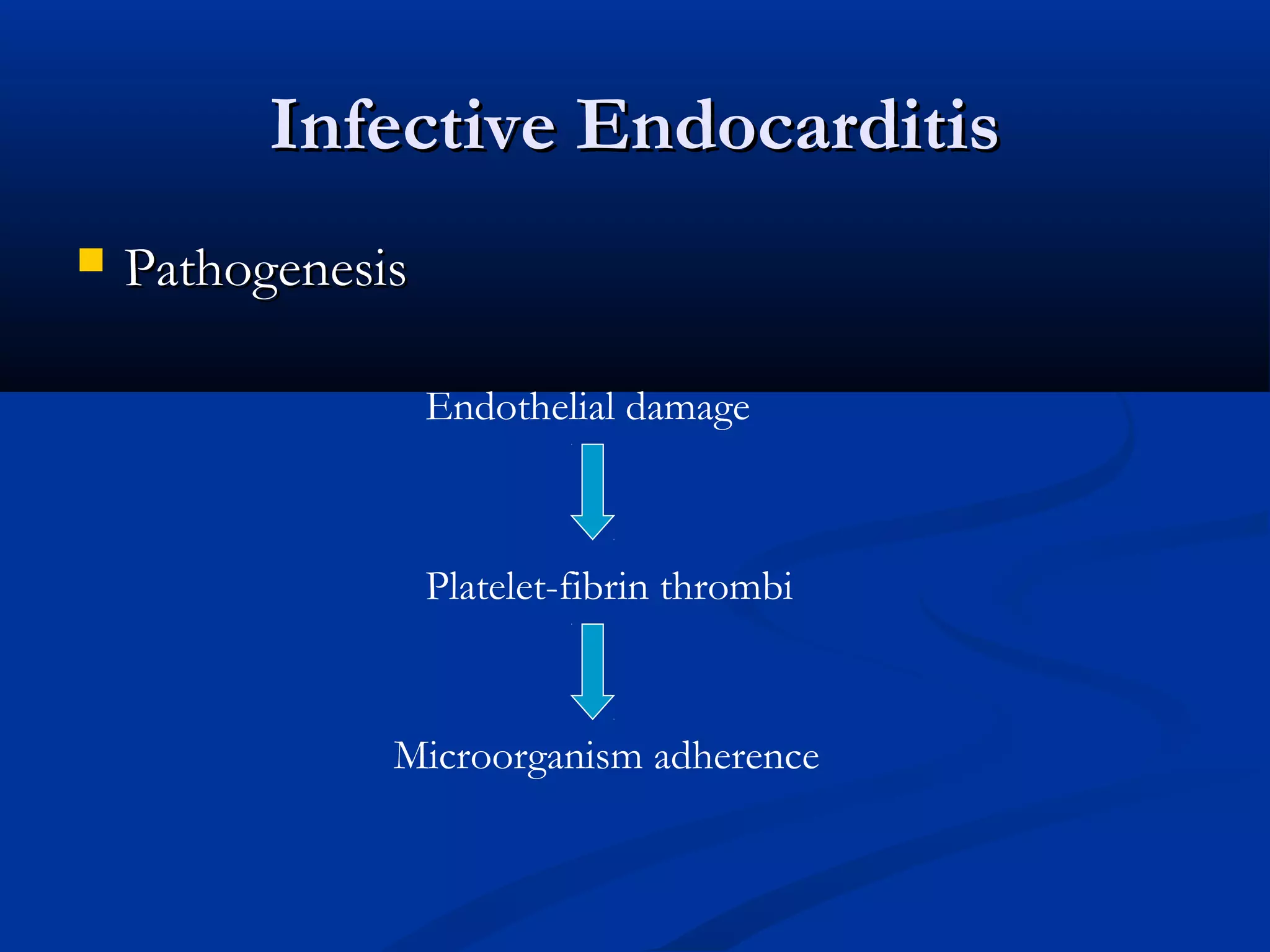 IInnffeeccttiivvee EEnnddooccaarrddiittiiss 
 PPaatthhooggeenneessiiss 
Endothelial damage 
Platelet-fibrin thrombi 
Microorganism adherence 
 