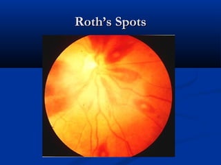 RRootthh’’ss SSppoottss 
 