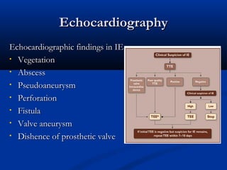 EEcchhooccaarrddiiooggrraapphhyy 
EEcchhooccaarrddiiooggrraapphhiicc ffiinnddiinnggss iinn IIEE 
• VVeeggeettaattiioonn 
• AAbbsscceessss 
• PPsseeuuddooaanneeuurryyssmm 
• PPeerrffoorraattiioonn 
• FFiissttuullaa 
• VVaallvvee aanneeuurryyssmm 
• DDiisshheennccee ooff pprroosstthheettiicc vvaallvvee 
 