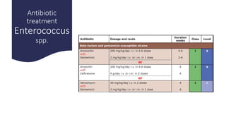 Infective endocarditis ESC guidelines Ahmed Yehia. MD | PPTX