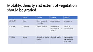 Mobility, density and extent of vegetation
should be graded
Grade 1 Grade2 Grade3 grade4
MOBILITY fixed Fixed base and
free edge
pedunculated prolapsing
DENSITY Calcified Partial calcified Denser than
myocardium not
calcified
Equal to
myocardium
EXTEND Single Multiple in single
leaflet
Multiple leaflet Extended to
extravalvular
structures
 