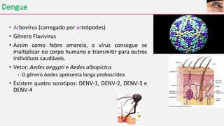 Dengue
• Arbovírus (carregado por artrópodes)
• Gênero Flavivirus
• Assim como febre amarela, o vírus consegue se
multiplicar no corpo humano e transmitir para outros
indivíduos saudáveis.
• Vetor: Aedes aegypti e Aedes albopictus
- O gênero Aedes apresenta longa proboscídea.
• Existem quatro sorotipos: DENV-1, DENV-2, DENV-3 e
DENV-4
 