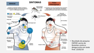 • Resultado de pesquisa
FAPESP, vacina do
Butantan contra a
dengue entra em teste
final. 23/02/16
 