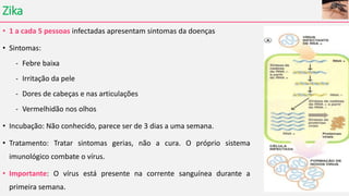 Zika
• 1 a cada 5 pessoas infectadas apresentam sintomas da doenças
• Sintomas:
- Febre baixa
- Irritação da pele
- Dores de cabeças e nas articulações
- Vermelhidão nos olhos
• Incubação: Não conhecido, parece ser de 3 dias a uma semana.
• Tratamento: Tratar sintomas gerias, não a cura. O próprio sistema
imunológico combate o vírus.
• Importante: O vírus está presente na corrente sanguínea durante a
primeira semana.
 