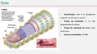 Ebola
• Classificação: nível 4 na patogênese
(superior ao HIV que é nível 2)
• Tempo de incubação: 2- 21 dias
dependendo da estirpe
• Tempo de replicação do vírus: cerca
de 8 horas
• Taxa de mortalidade: 70-90%
 