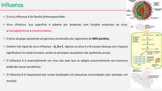 Influenza
• O vírus Influenza é da família Orthomyxoviridae.
• Vírus cilíndrico. Sua superfície é coberta por proteínas com funções essenciais ao vírus:
a hemaglutinina e a neuraminidase.
• O vírus da gripe apresenta um genoma constituído por segmentos de RNA positivo;
• Existem três tipos de vírus Influenza – A, B e C. Apenas os vírus A e B causam doença com impacto
significativo na saúde humana, sendo os principais causadores das epidemias anuais.
• O Influenza A é essencialmente um vírus das aves que se adapta ocasionalmente aos humanos
podendo causar pandemias.
• O influenza B é responsável por surtos localizados em pequenas comunidades (por exemplo, em
escolas).
 