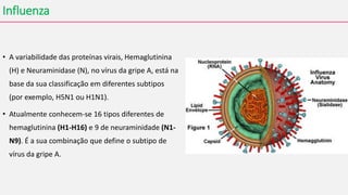 Influenza
• A variabilidade das proteínas virais, Hemaglutinina
(H) e Neuraminidase (N), no vírus da gripe A, está na
base da sua classificação em diferentes subtipos
(por exemplo, H5N1 ou H1N1).
• Atualmente conhecem-se 16 tipos diferentes de
hemaglutinina (H1-H16) e 9 de neuraminidade (N1-
N9). É a sua combinação que define o subtipo de
vírus da gripe A.
 