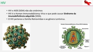HIV
• HIV e AIDS (SIDA) não são sinônimos
• HIV é o Human Immunodeficiency Virus e que pode causar Síndrome da
imunodeficiência adquirida (SIDA).
• O HIV pertence a família Retroviridae e ao gênero Lentivirus.
 