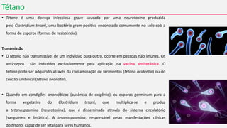 Tétano
• Tétano é uma doença infecciosa grave causada por uma neurotoxina produzida
pelo Clostridium tetani, uma bactéria gram-positiva encontrada comumente no solo sob a
forma de esporos (formas de resistência).
Transmissão
• O tétano não transmissível de um indivíduo para outro, ocorre em pessoas não imunes. Os
anticorpos são induzidos exclusivamente pela aplicação da vacina antitetânica. O
tétano pode ser adquirido através da contaminação de ferimentos (tétano acidental) ou do
cordão umbilical (tétano neonatal).
• Quando em condições anaeróbicas (ausência de oxigênio), os esporos germinam para a
forma vegetativa do Clostridium tetani, que multiplica-se e produz
a tetanospasmina (neurotoxina), que é disseminada através do sistema circulatório
(sanguíneo e linfático). A tetanospasmina, responsável pelas manifestações clínicas
do tétano, capaz de ser letal para seres humanos.
 