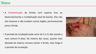 Tétano
• A Contaminação de feridas com esporos leva ao
desenvolvimento e multiplicação local de bacilos. Eles não
são invasivos e não invadem outros órgãos, permanecendo
junto à ferida.
• O período de incubação pode variar de 3 a 21 dias (sendo o
mais comum 8 dias). Na maioria dos casos, quanto mais
afastada do sistema nervoso estiver a ferida, mais longo é
o período de incubação.
 