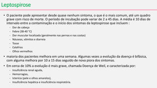 Leptospirose
• O paciente pode apresentar desde quase nenhum sintoma, o que é o mais comum, até um quadro
grave com risco de morte. O período de incubação pode variar de 2 a 45 dias. A média é 10 dias de
intervalo entre a contaminação e o início dos sintomas da leptospirose que incluem :
- Dor de cabeça
- Febre (38-40 °C)
- Dor muscular localizada (geralmente nas pernas e nas costas)
- Náuseas, vômitos e diarreia
- Tosse
- Calafrios
- Olhos vermelhos
• maioria dos pacientes melhora em uma semana. Algumas vezes a evolução da doença é bifásica,
com alguma melhora por 10 a 15 dias seguido de nova piora dos sintomas.
• Em cerca de 10% a evolução é mais grave, chamada Doença de Weil, e caracterizada por:
- Insuficiência renal aguda,
- Hemorragias,
- Icterícia (pele e olhos amarelos),
- Insuficiência hepática e insuficiência respiratória.
 