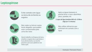 Leptospirose
 