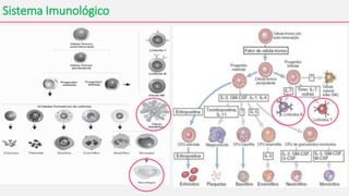 Sistema Imunológico
 