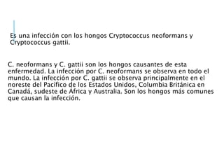 Es una infección con los hongos Cryptococcus neoformans y
Cryptococcus gattii.
C. neoformans y C. gattii son los hongos causantes de esta
enfermedad. La infección por C. neoformans se observa en todo el
mundo. La infección por C. gattii se observa principalmente en el
noreste del Pacífico de los Estados Unidos, Columbia Británica en
Canadá, sudeste de África y Australia. Son los hongos más comunes
que causan la infección.
 