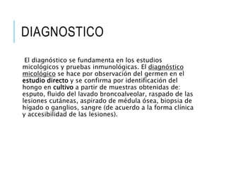 DIAGNOSTICO
El diagnóstico se fundamenta en los estudios
micológicos y pruebas inmunológicas. El diagnóstico
micológico se hace por observación del germen en el
estudio directo y se confirma por identificación del
hongo en cultivo a partir de muestras obtenidas de:
esputo, fluido del lavado broncoalveolar, raspado de las
lesiones cutáneas, aspirado de médula ósea, biopsia de
hígado o ganglios, sangre (de acuerdo a la forma clínica
y accesibilidad de las lesiones).
 