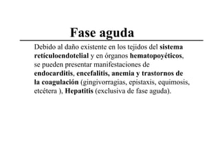 Fase aguda
Debido al daño existente en los tejidos del sistema
retículoendotelial y en órganos hematopoyéticos,
se pueden presentar manifestaciones de
endocarditis, encefalitis, anemia y trastornos de
la coagulación (gingivorragias, epistaxis, equimosis,
etcétera ), Hepatitis (exclusiva de fase aguda).

 