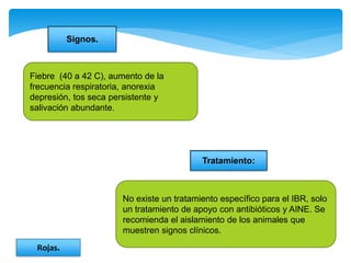 No existe un tratamiento específico para el IBR, solo
un tratamiento de apoyo con antibióticos y AINE. Se
recomienda el aislamiento de los animales que
muestren signos clínicos.
Tratamiento:
Signos
Fiebre (40 a 42 C), aumento de la
frecuencia respiratoria, anorexia
depresión, tos seca persistente y
salivación abundante.
Rojas.
 