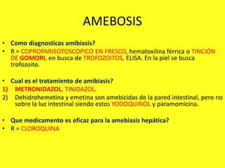 AMEBOSIS
• Como diagnosticas amibiasis?
• R = COPROPARISOTOSCOPICO EN FRESCO, hematoxilina férrica o TINCIÓN
DE GOMORI, en busca de TROFOZOITOS, ELISA. En la piel se busca
trofozoito.
• Cual es el tratamiento de amibiasis?
1) METRONIDAZOL, TINIDAZOL.
2) Dehidrohemetina y emetina son amebicidas de la pared intestinal, pero no
sobre la luz intestinal siendo estos YODOQUINOL y paramomicina.
• Que medicamento es eficaz para la amebiasis hepática?
• R = CLOROQUINA
 