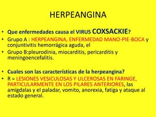 HERPEANGINA
• Que enfermedades causa el VIRUS COXSACKIE?
• Grupo A : HERPEANGINA, ENFERMEDAD MANO-PIE-BOCA y
conjuntivitis hemorrágica aguda, el
• Grupo B:pleurodinia, miocarditis, pericarditis y
meningoencefalitis.
• Cuales son las características de la herpeangina?
• R = LESIONES VESICULOSAS Y ULCEROSAS EN FARINGE,
PARTICULARMENTE EN LOS PILARES ANTERIORES, las
amígdalas y el paladar, vomito, anorexia, fatiga y ataque al
estado general.
 