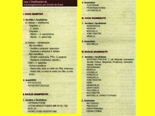 INFECTOLOGÍA.pdf