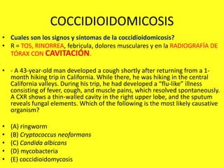 COCCIDIOIDOMICOSIS
• Cuales son los signos y síntomas de la coccidioidomicosis?
• R = TOS, RINORREA, febricula, dolores musculares y en la RADIOGRAFÍA DE
TÓRAX CON CAVITACIÓN.
• - A 43-year-old man developed a cough shortly after returning from a 1-
month hiking trip in California. While there, he was hiking in the central
California valleys. During his trip, he had developed a “flu-like” illness
consisting of fever, cough, and muscle pains, which resolved spontaneously.
A CXR shows a thin-walled cavity in the right upper lobe, and the sputum
reveals fungal elements. Which of the following is the most likely causative
organism?
• (A) ringworm
• (B) Cryptococcus neoformans
• (C) Candida albicans
• (D) mycobacteria
• (E) coccidioidomycosis
 