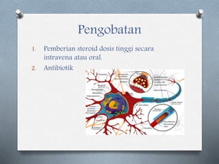 Pengobatan
1. Pemberian steroid dosis tinggi secara
intravena atau oral.
2. Antibiotik
 