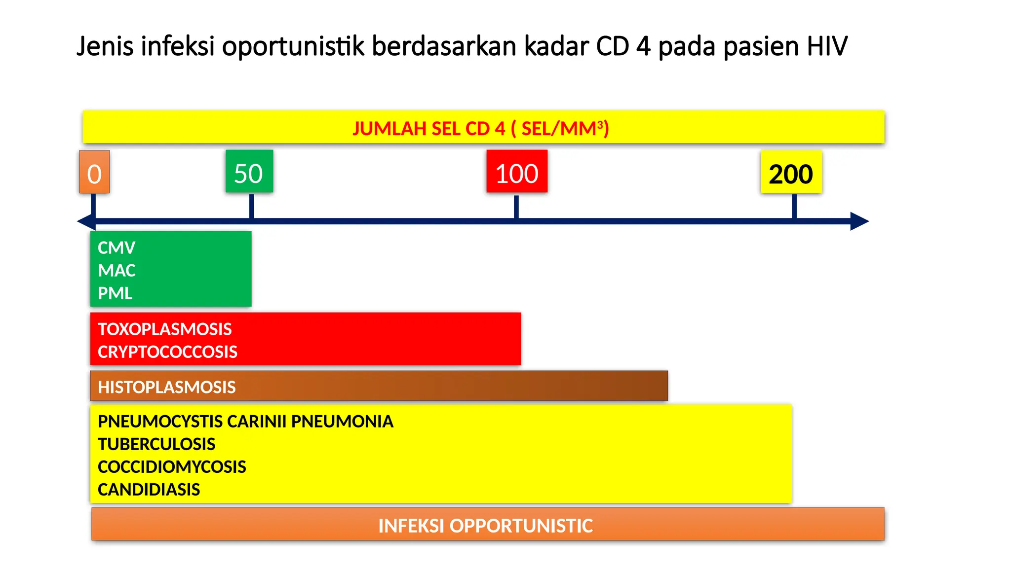 RISIKO DAN DAMPAK INFEKSI PADA PASIEN HIV AIDSpptx | PPT