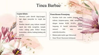Tinea Barbae
Pemeriksaan Penunjang
• Kerokan kulit atau rambut jenggot yang
terkena (terputus-putus, tidak mengkilap)
dengan larutan KOH 10-20%, dilihat
langsung di bawah mikroskop untuk
mencari hifa atau infeksi
endotriks/eksotriks.
• Biakan pada media agar Sabouraud.
• Sinar Wood: fluoresensi kehijauan
Gejala Klinis:
• Biasanya pada daerah dagu/jenggot,
tapi dapat menyebar ke wajah dan
leher.
• Rambut daerah yang terkena menjadi
rapuh dan tidak mengkilat, tampak
reaksi radang pada folikel berupa
kemerahan, edema, kadang-kadang ada
pustula.
 