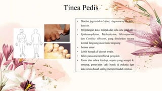 Tinea Pedis
• Disebut juga athlete’s foot, ringworm of the foot,
kutu air.
• Pergelangan kaki, telapak dan sela-sela jari kaki
• Epidermophyton, Trichophyton, Microsporum
dan Candida albicans, yang ditularkan secara
kontak langsung atau tidak langsung
• Semua umur
• Lebih banyak di daerah tropis.
• Iklim panas memperburuk penyakit.
• Panas dan udara lembap, sepatu yang sempit &
tertutup, perawatan kaki buruk & pekerja dgn
kaki selalu basah sering mempermudah infeksi.
 