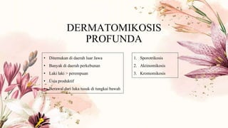 DERMATOMIKOSIS
PROFUNDA
• Ditemukan di daerah luar Jawa
• Banyak di daerah perkebunan
• Laki laki > perempuan
• Usia produktif
• Berawal dari luka tusuk di tungkai bawah
1. Sporotrikosis
2. Aktinomikosis
3. Kromomikosis
 