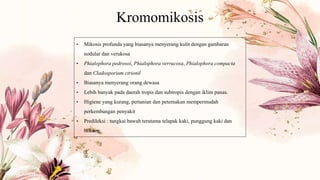 Kromomikosis
• Mikosis profunda yang biasanya menyerang kulit dengan gambaran
nodular dan verukosa
• Phialophora pedrosoi, Phialophora verrucosa, Phialophora compacta
dan Cladosporium ctrionil
• Biasanya menyerang orang dewasa
• Lebih banyak pada daerah tropis dan subtropis dengan iklim panas.
• Higiene yang kurang, pertanian dan peternakan mempermudah
perkembangan penyakit
• Predileksi : tungkai bawah terutama telapak kaki, punggung kaki dan
bokong.
 