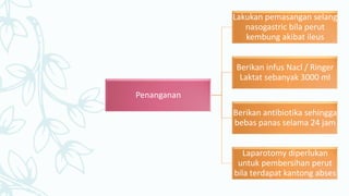 Penanganan
Lakukan pemasangan selang
nasogastric bila perut
kembung akibat ileus
Berikan infus Nacl / Ringer
Laktat sebanyak 3000 ml
Berikan antibiotika sehingga
bebas panas selama 24 jam
Laparotomy diperlukan
untuk pembersihan perut
bila terdapat kantong abses
 