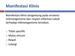 Manifestasi Klinis
Manifestasi klinis bergantung pada virulensi
mikroorganisme dan respon inflamasi tubuh
terhadap mikroorganisme tersebut.
 Tidak spesifik
 Malas minum
 Rewel
 Letargi
 