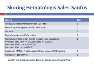 Skoring Hematologis Sales-Santos
Kriteria Skor
Peningkatan rasio Immature/Total (I/T Ratio) 1
Penurunan/Peningkatan jumlah PMN total 1
I:M >= 0,2 1
Peningkatan jumlah PMN Imatur 1
Peningkatan/penurunan jumlah leukosit total sesuai umur
Neonatus baru lahir >= 25000/uL atau <= 5000/uL
Neonatus 12-24 jam > 30.000/uL
Neonatus 2 hari > 21.000/uL
1
Perubahan PMN >= 3 Vakuolisasi, toksik granular, Dohle bodies 1
Trombosit < 150.000/mL 1
Jumlah skor lebih atau sama dengan 3 kemungkinan besar infeksi
 