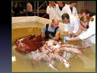 Inference and-observation