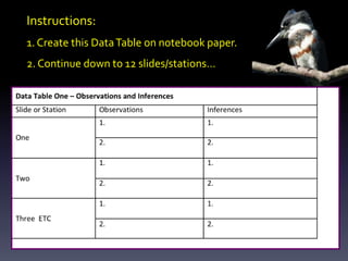 Instructions:
1. Create this DataTable on notebook paper.
2. Continue down to 12 slides/stations…
 