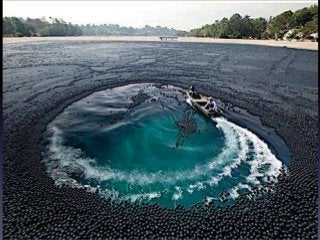 Inference and-observation