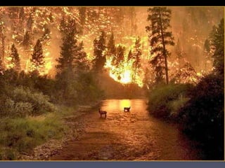 Inference and-observation