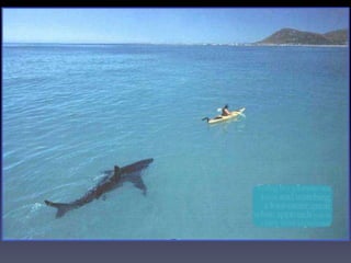 Inference and-observation