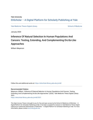 Yale University
Yale University
EliScholar – A Digital Platform for Scholarly Publishing at Yale
EliScholar – A Digital Platform for Scholarly Publishing at Yale
Yale Medicine Thesis Digital Library School of Medicine
January 2020
Inference Of Natural Selection In Human Populations And
Inference Of Natural Selection In Human Populations And
Cancers: Testing, Extending, And Complementing Dn/ds-Like
Cancers: Testing, Extending, And Complementing Dn/ds-Like
Approaches
Approaches
William Meyerson
Follow this and additional works at: https://elischolar.library.yale.edu/ymtdl
Recommended Citation
Recommended Citation
Meyerson, William, "Inference Of Natural Selection In Human Populations And Cancers: Testing,
Extending, And Complementing Dn/ds-Like Approaches" (2020). Yale Medicine Thesis Digital Library.
3931.
https://elischolar.library.yale.edu/ymtdl/3931
This Open Access Thesis is brought to you for free and open access by the School of Medicine at EliScholar – A
Digital Platform for Scholarly Publishing at Yale. It has been accepted for inclusion in Yale Medicine Thesis Digital
Library by an authorized administrator of EliScholar – A Digital Platform for Scholarly Publishing at Yale. For more
information, please contact elischolar@yale.edu.
 