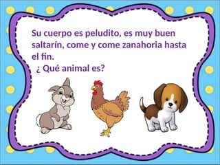 Su cuerpo es peludito, es muy buen
saltarín, come y come zanahoria hasta
el fin.
¿ Qué animal es?
 