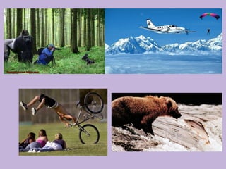 Inferències què passa després