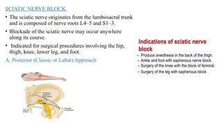 INFERIOR LIMB NERVE BLOCKS ultrasound guided.pptx