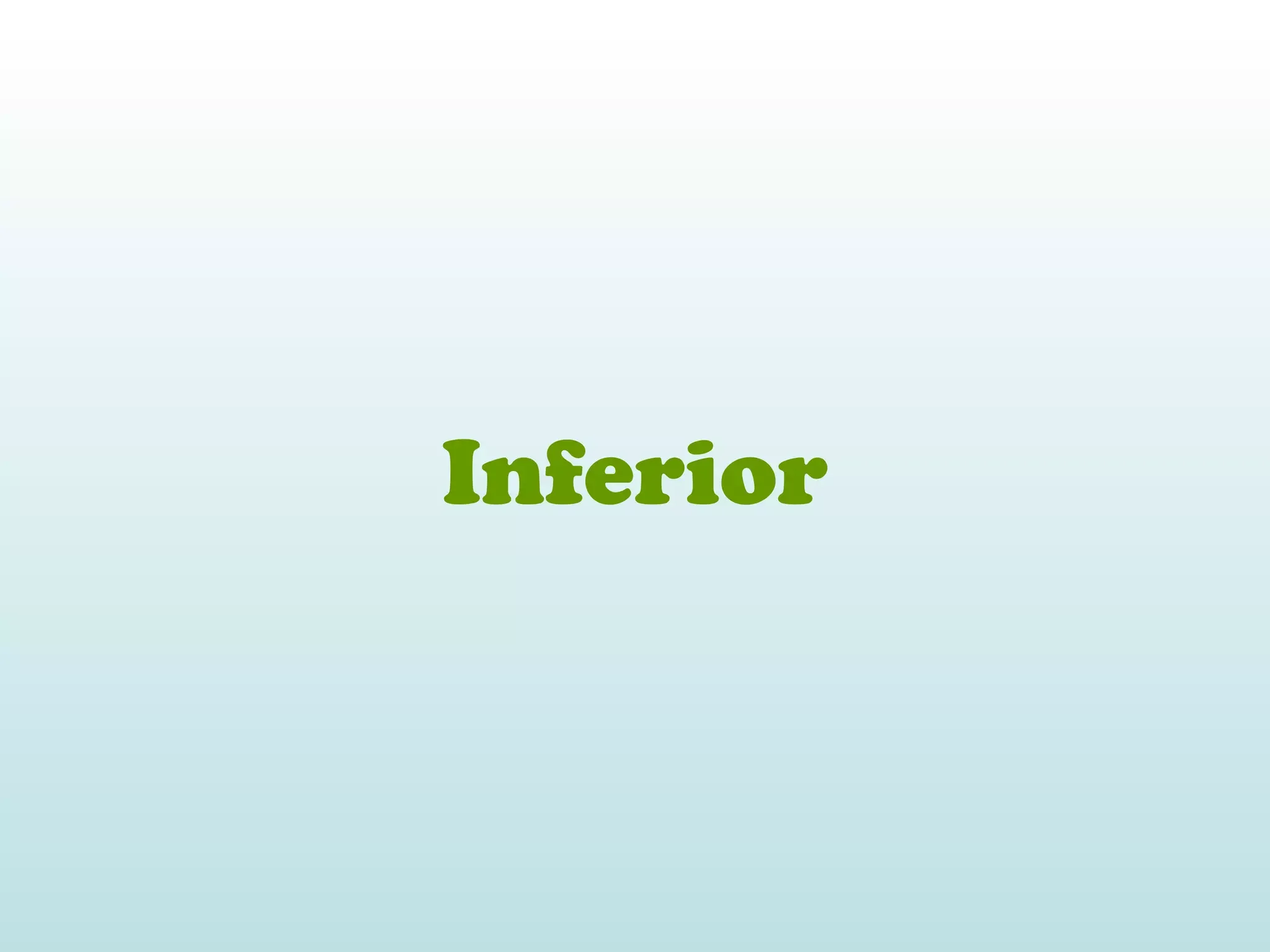 Inferior
 